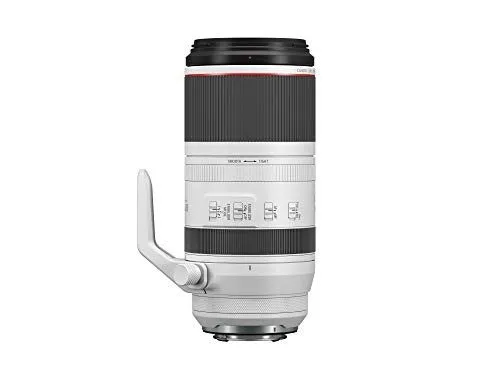 Объектив Canon EOS R8+ RF 100-500mm f/4.5-7.1L IS USM Lens+128GB+ExtBat+9PCFltr-