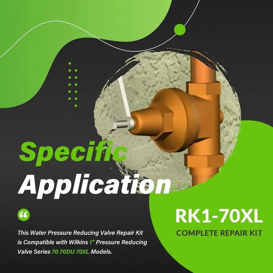 Клапан RK1-70XL Repair Kit