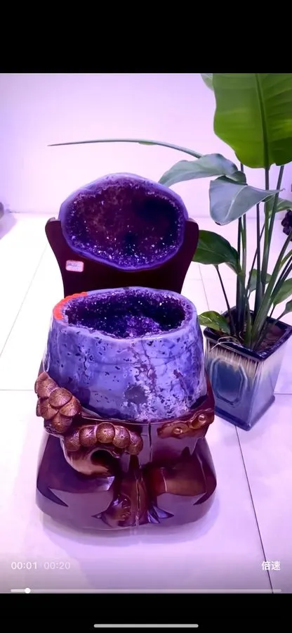 Лабораторный прибор 129.8LB TOP Natural citrine geode quartz crystal cluster cat