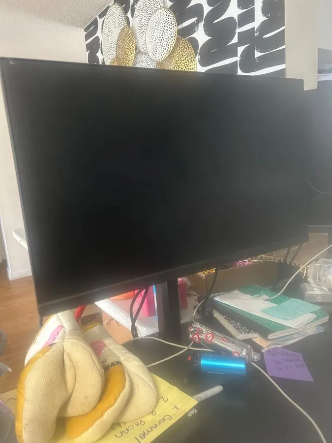 Монитор Lenovo ThinkVision LT1913p — фото лота 1