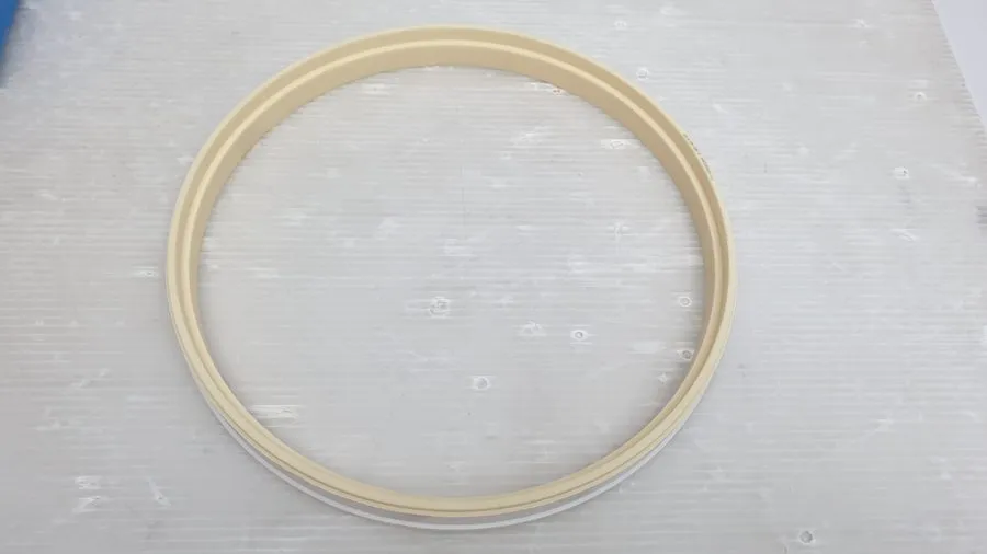 Электронный компонент Lam Research S31A-CB-006-Q Ceramic Isolation Ring 0.0mm BE