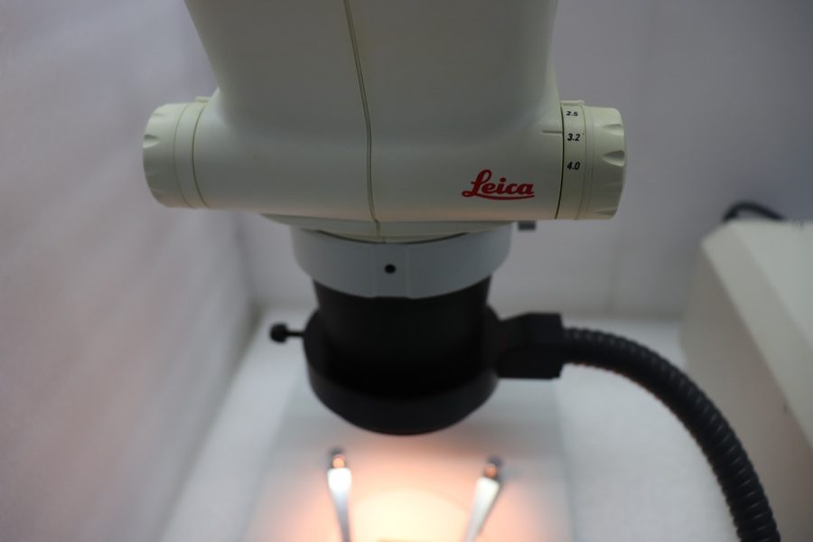 Фото лота 0.75X/WD от продавца №22510