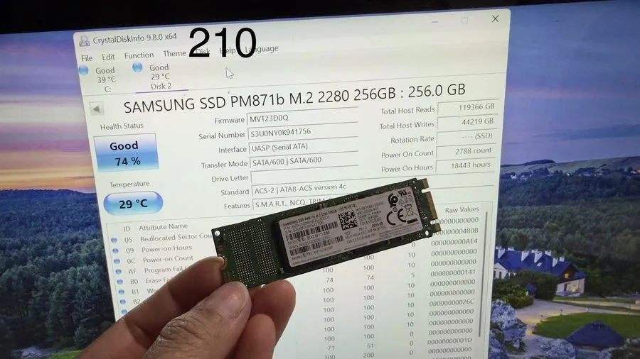 SSD-накопитель Samsung PM871b MZ-NLN256F 256GB M.2 SSD SATA MZNLN256HAJQ-000D1 T