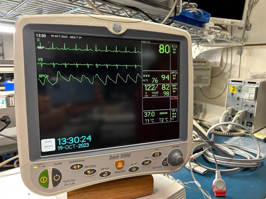 Монитор пациента GE Medical Dash 5000 Patient monitor Masimo PN# 2023615-302; Bi — фото лота 2
