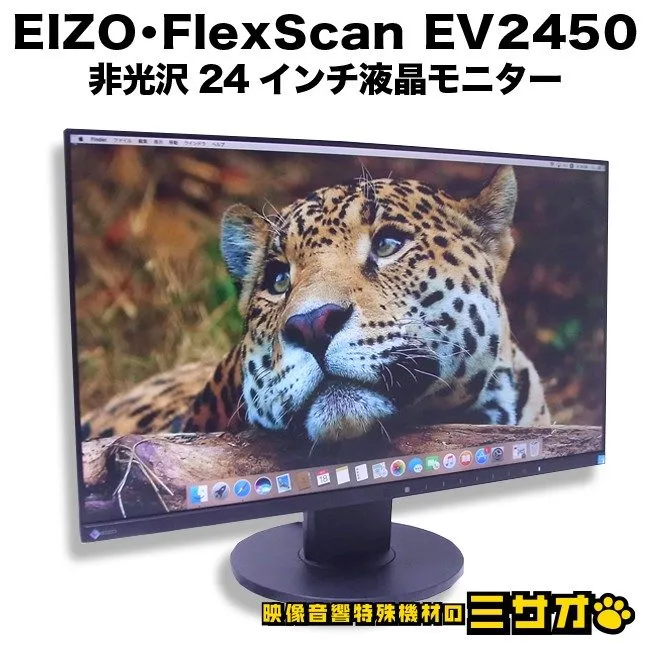 Монитор EIZO FlexScan EV2450 PC Monitor 24 Inch LCD Non-Glare Wide Screen