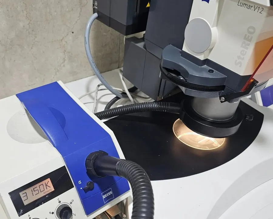 Микроскоп ZEISS lumar.v12 microscope parts — фото лота 1