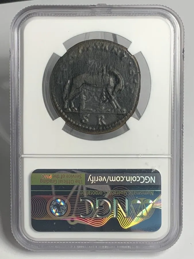 Лабораторный прибор Pisidia, Antiochia AE33 Caracalla AD 198-217 Romulus/Remus R