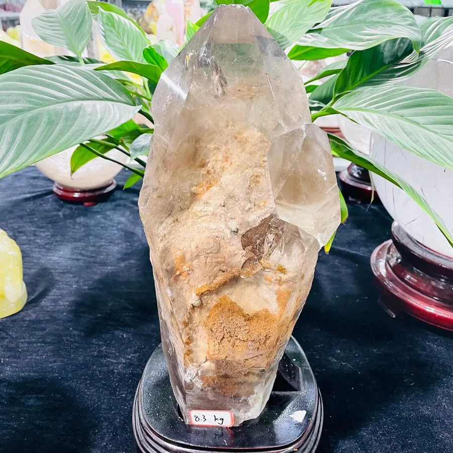 Лабораторный прибор 19.36LB TOP Scarce Natural color ghost quartz carved crystal