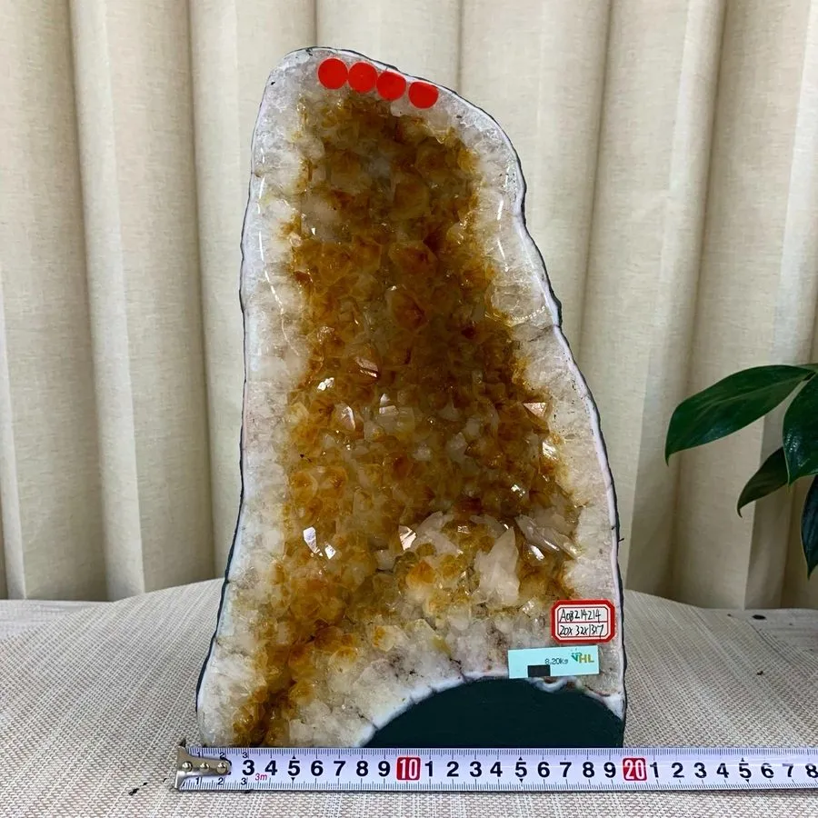 Лабораторный прибор 18.04LB TOP Natural citrine geode quartz cluster crystal cat
