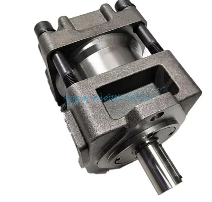 Насос QT62-80F-S1389-A Gear Pump