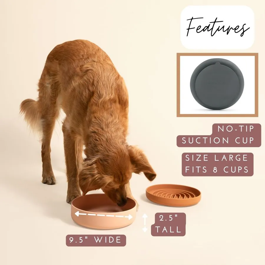 Вакуумная присоска 8Cup 9.5x2.5 In NonSpill Suction Cup Silicone Pet Water Bowl — фото лота 2