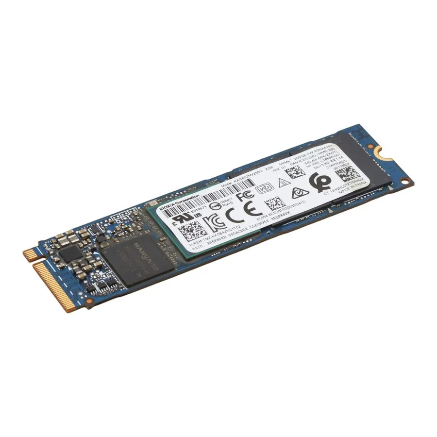 SSD-накопитель x Kioxia (Toshiba) XG6 256GB NVMe M.2 2280 SSD (KXG60ZNV256G)