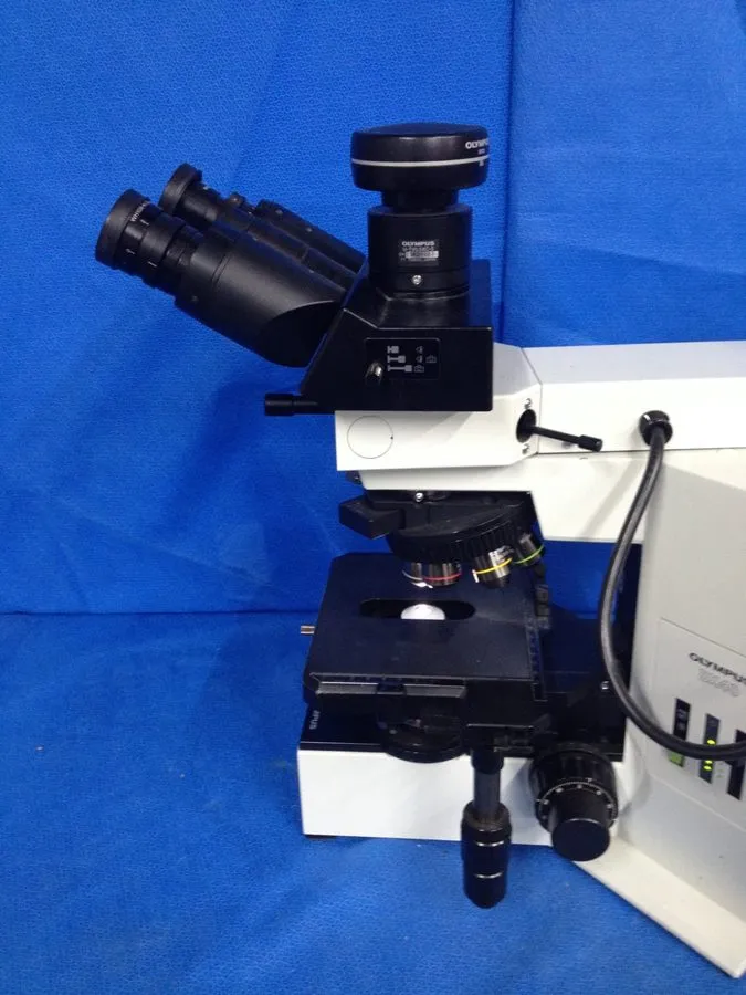Микроскоп Olympus BX40F-3 Dual Viewing Microscope