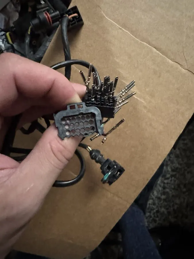 Жгут проводов DUCATI 51017201B COMPLETE REAR TAIL ECU WIRING HARNESS ELECTRIC SY — фото лота 1