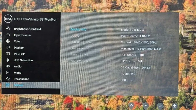 Монитор Dell UltraSharp U3818DW 38" Curved LCD Monitor 3840x1600 21:9 HDMI/DP/US — фото лота 1