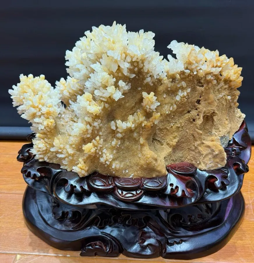 Лабораторный прибор 72.6LB TOP Natural Amethyst geode quartz crystal Dinosaur eg