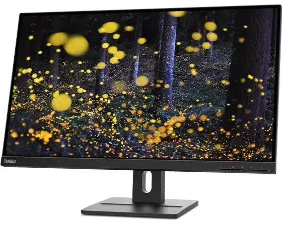 Монитор Lenovo ThinkVision E27q-20 27" Class WQHD LED Monitor Black — фото лота 1