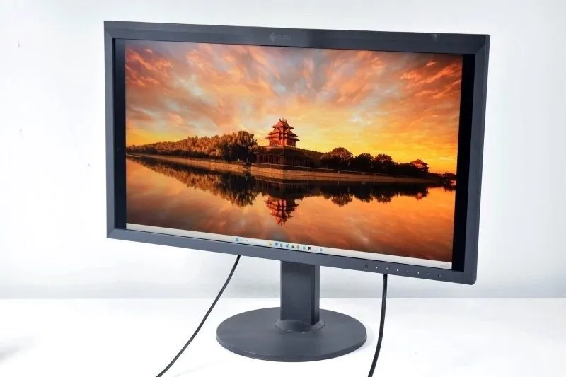 Монитор EIZO ColorEdge Monitor CG319X 31.1" Hood and Case Included