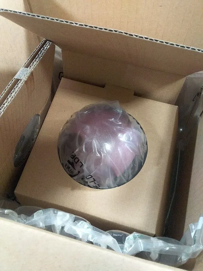 Камера 1, Pelco, IS20-DWSV8S, Color CCTV Camera. Skybay-s091-AA.yy