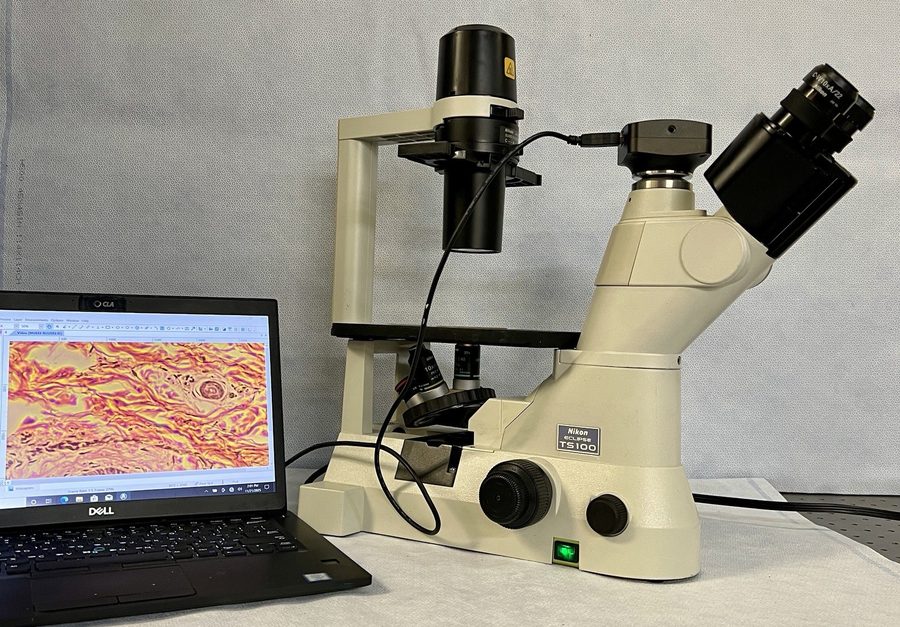 Микроскоп Nikon T1-FM TS-100 Inverted Microscope Epi-Fluorescent Attachment