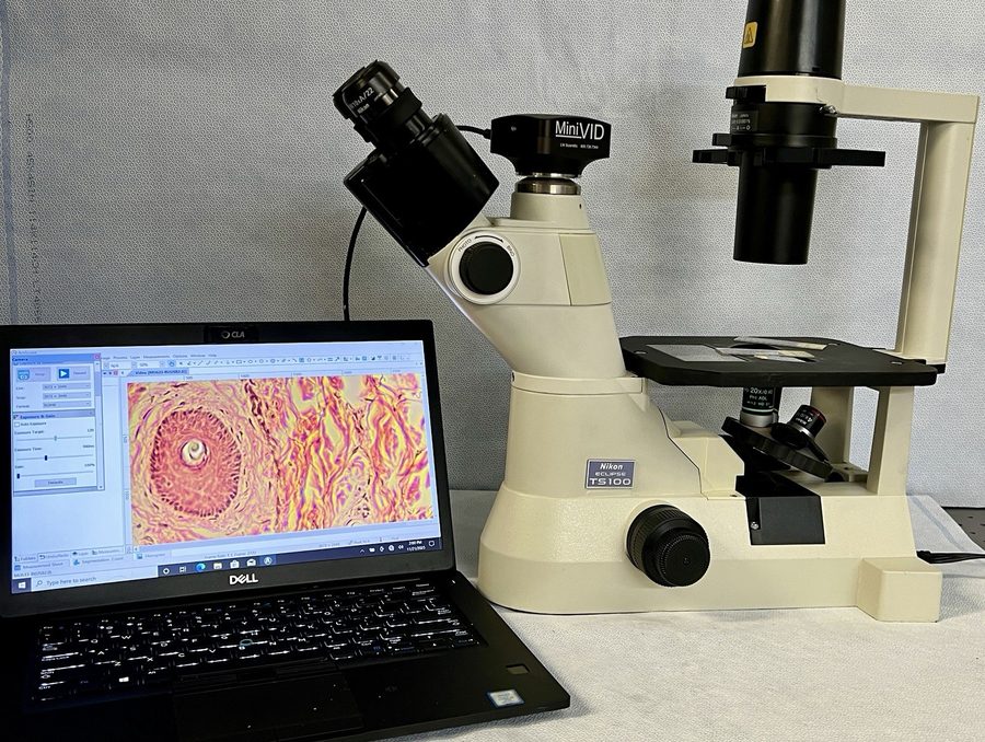 Микроскоп Nikon T1-FM TS-100 Inverted Microscope Epi-Fluorescent Attachment — фото лота 2