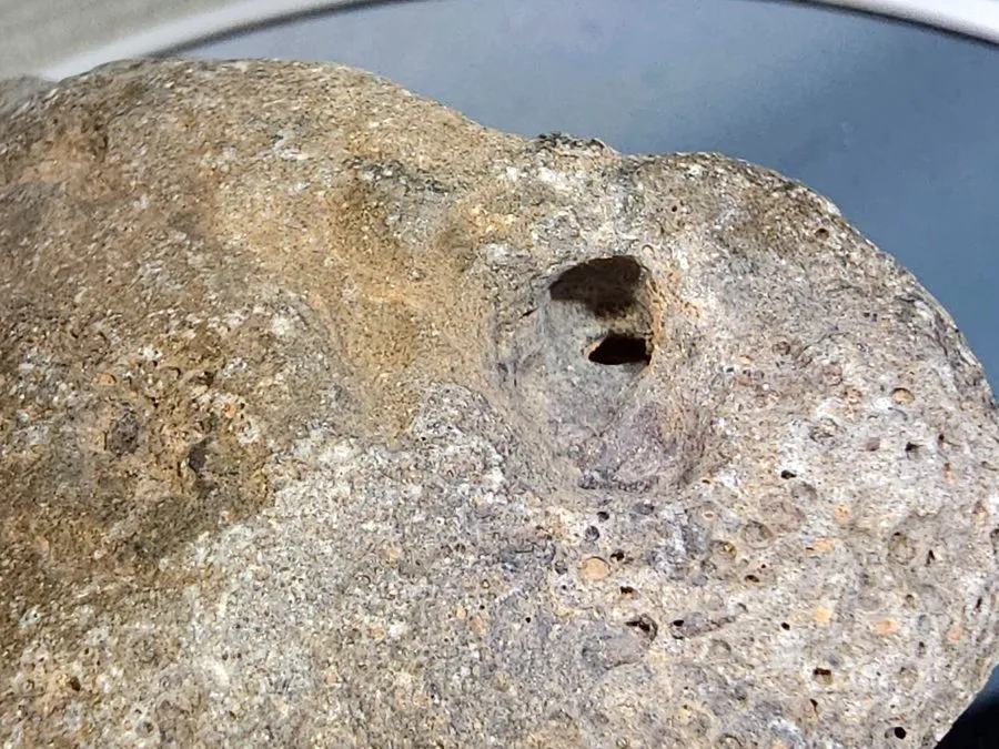 Лабораторный прибор NWA 16525 Eucrite-mmict 407.8g desirable vesicular meteorite — фото лота 2