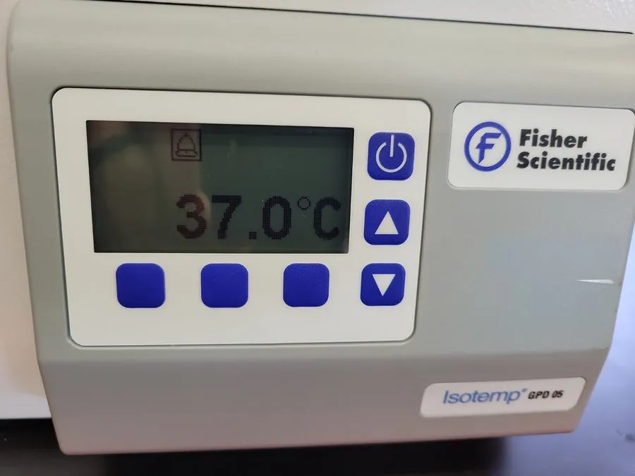 Водяная баня Fisher Scientific Isotemp GPD 05 Heated Waterbath Water Bath FSGPD0