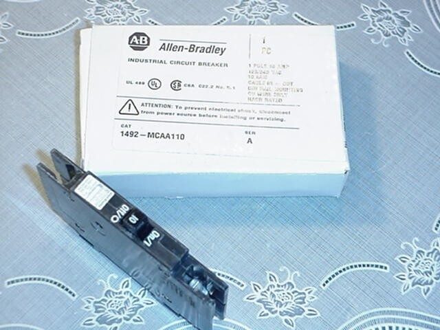 Фото лота BRADLEY1492-MCAA110 от продавца №16816