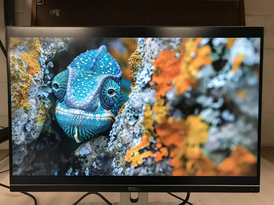 Монитор Dell UltraSharp U2415 24-inch LED LCD Monitor Black IPS Full HD