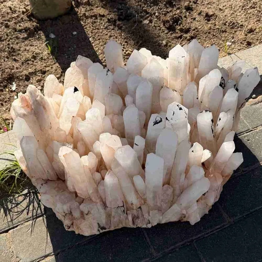 Лабораторный прибор 129.8LB TOP Natural citrine geode quartz crystal cluster cat — фото лота 1