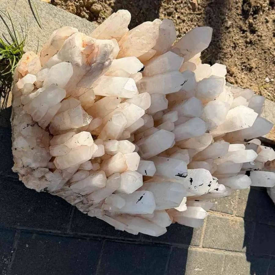 Лабораторный прибор 129.8LB TOP Natural citrine geode quartz crystal cluster cat — фото лота 2