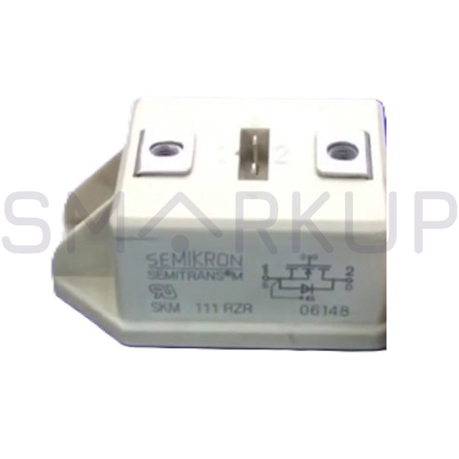 Фото лота SKM111RZR от продавца №96073
