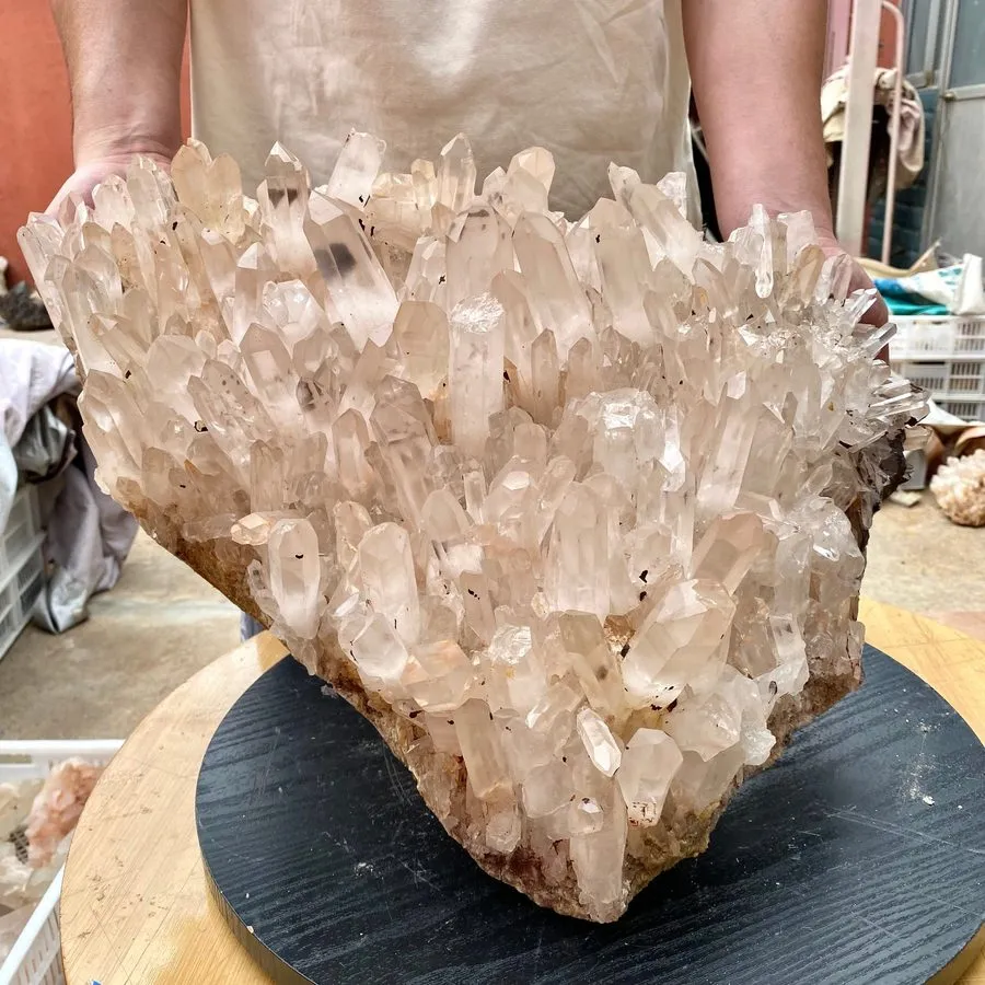 Лабораторный прибор 52.58LB TOP Natural citrine geode quartz cluster crystal cat