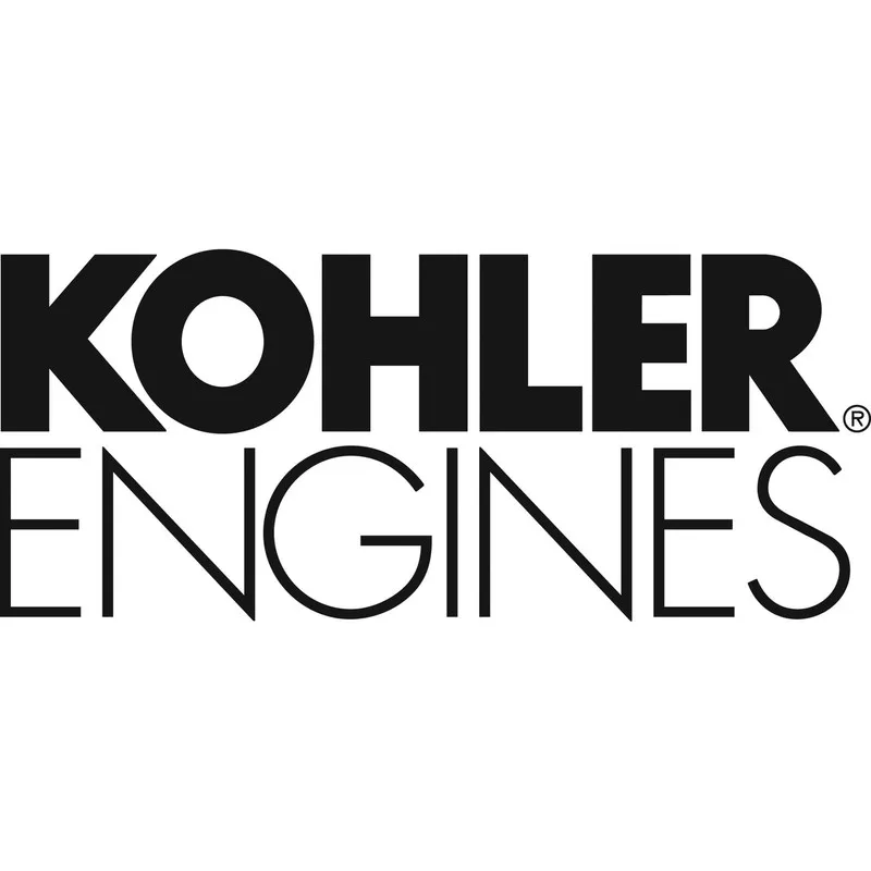 Конвейер Kohler ED0025697600-S Air Conveyor Complete Black Equipment — фото лота 1