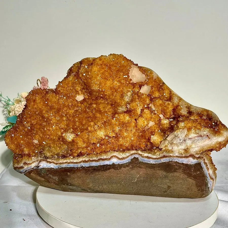 Лабораторный прибор 33.11LB Large yellow clusters are a beloved and unique speci