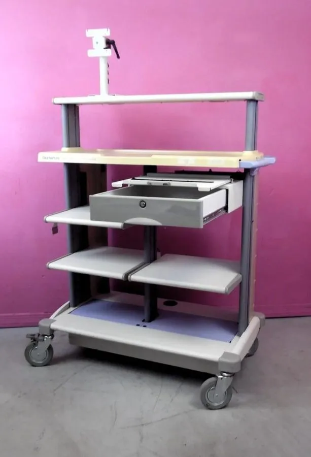 Эндоскоп Olympus WM-D60 Workstation Endoscope Endoscopy Cart Stand w/ Video Moni — фото лота 1