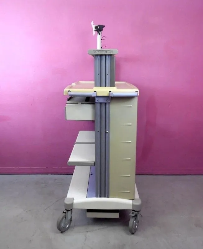 Эндоскоп Olympus WM-D60 Workstation Endoscope Endoscopy Cart Stand w/ Video Moni — фото лота 2