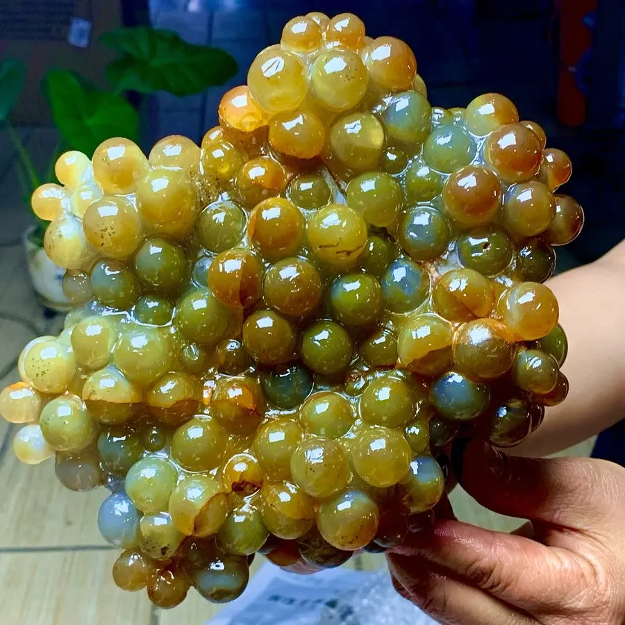 Лабораторный прибор 5.61LB Natural Gobi Agate Eye Agate grape shape Crystal Mada