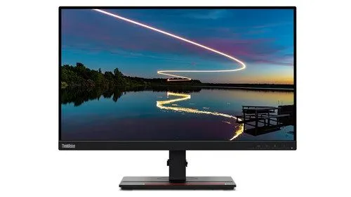 Монитор Lenovo ThinkVision T24m-20 23.8" FHD IPS LED Monitor 62CDGAR6US — фото лота 1