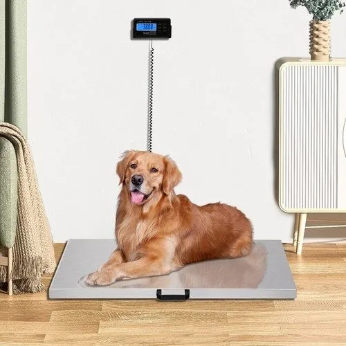 Весы 440lbs/200kg Livestock Vet Platform Scale Dog Pig Sheep Pet Digital Weight  — фото лота 2