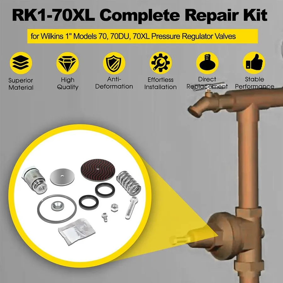 Клапан RK1-70XL Repair Kit