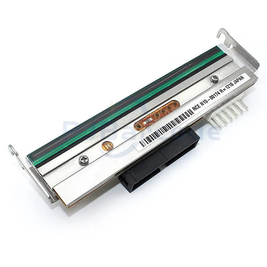 Печатающая головка R10101000 Printhead