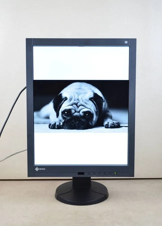 Монитор пациента EIZO RadiForce GX340 Medical LCD Monitor B6-GX340