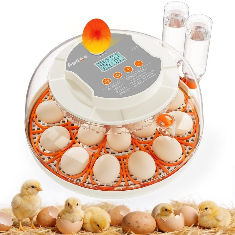 Фото лота 18-EGG от продавца №58790