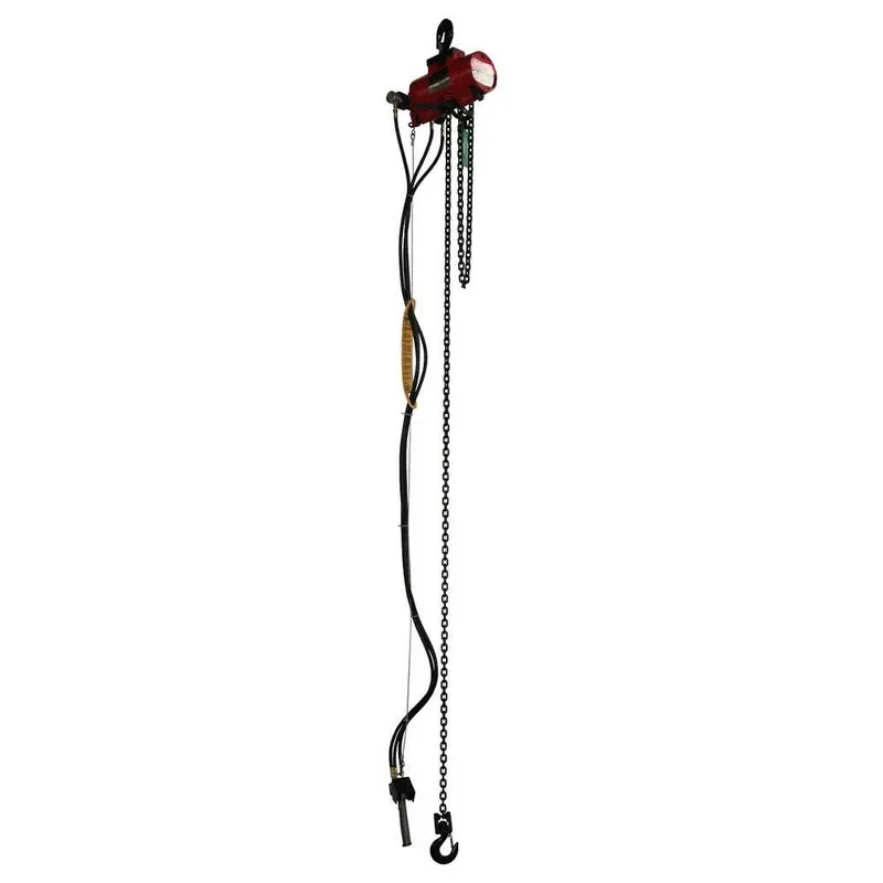Таль Dayton 816Yh7 Air Chain Hoist, 250 Lb. Cap., 10 Ft. Lift — фото лота 1