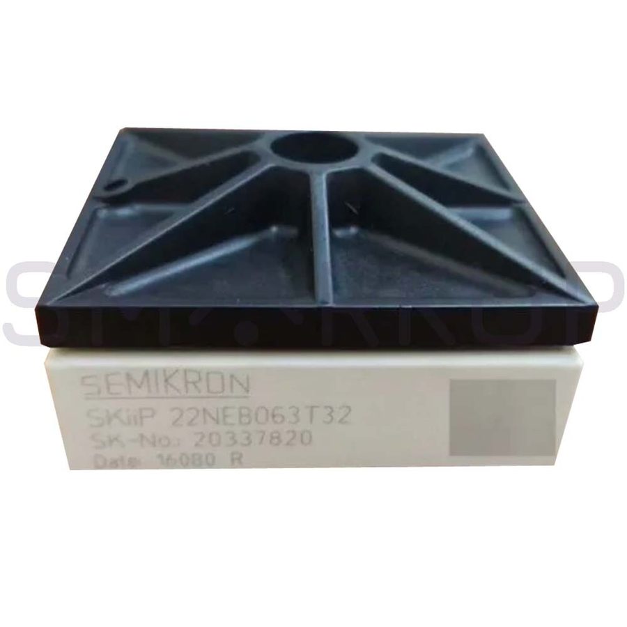 Фото лота SKIIP22NEB063T32 от продавца №96073