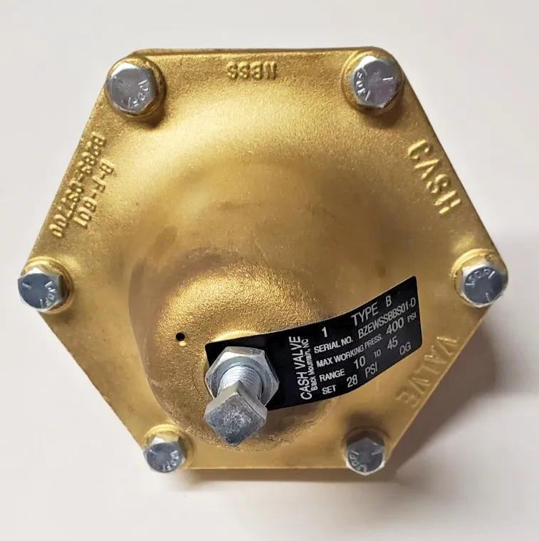 Трубопроводная арматура B Pressure Regulator BZEWSSBBS01-D Pressure Regulator
