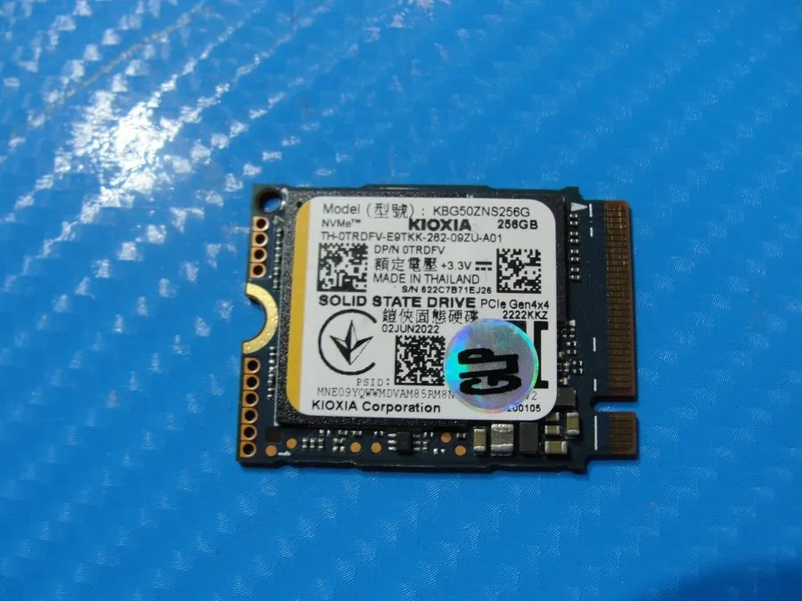 KBG50ZNS256G