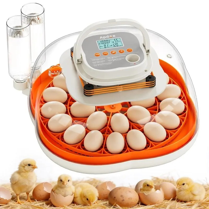 Оборудование Spacious 25-Egg Hatching Incubator with Safety Walls & Automatic Tu — фото лота 1
