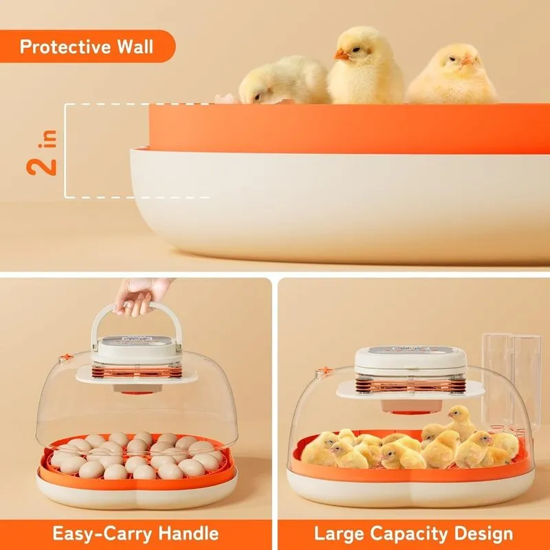 Оборудование Spacious 25-Egg Hatching Incubator with Safety Walls & Automatic Tu — фото лота 3